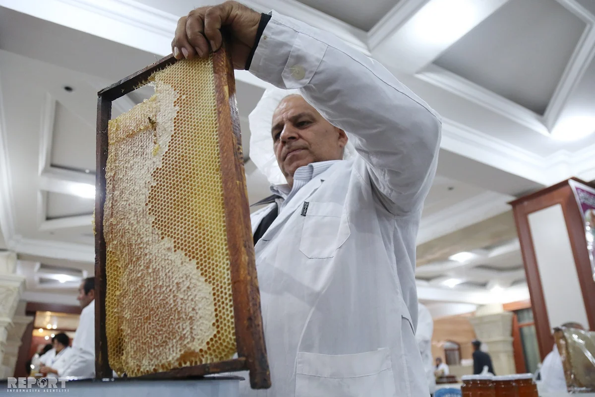 Bakıda keçiriləcək bal yarmarkasının yeri dəyişdirilib