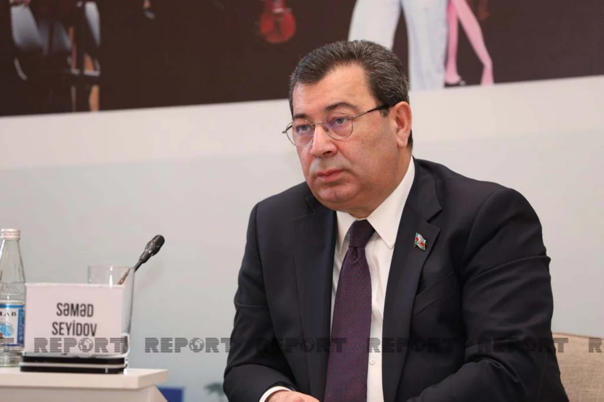 Самед Сеидов раскритиковал ПАСЕ