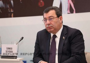 Самед Сеидов раскритиковал ПАСЕ