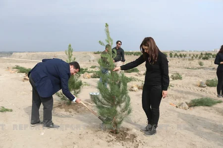 Представители дипкорпуса посадили деревья в Тертере