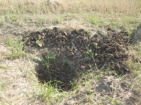 ANAMA: Horadiz şəhərində 2940 kv.m ərazi yoxlanılıb, hərbi sursat aşkarlanmayıb