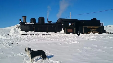 Extreme cold weather in Argentina claims 7 lives