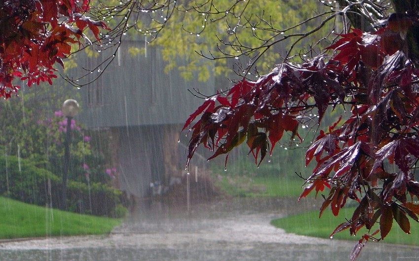 Rain, thunderstorms expected in Azerbaijani districts on September 15