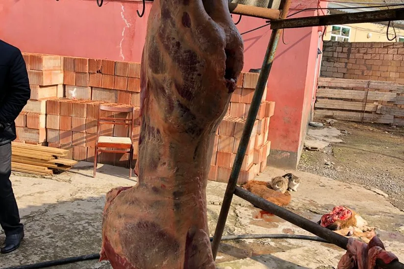 İmişlidə istifadəyə tam yararsız 150 kiloqram mal əti aşkarlanıb - VİDEO - YENİLƏNİB