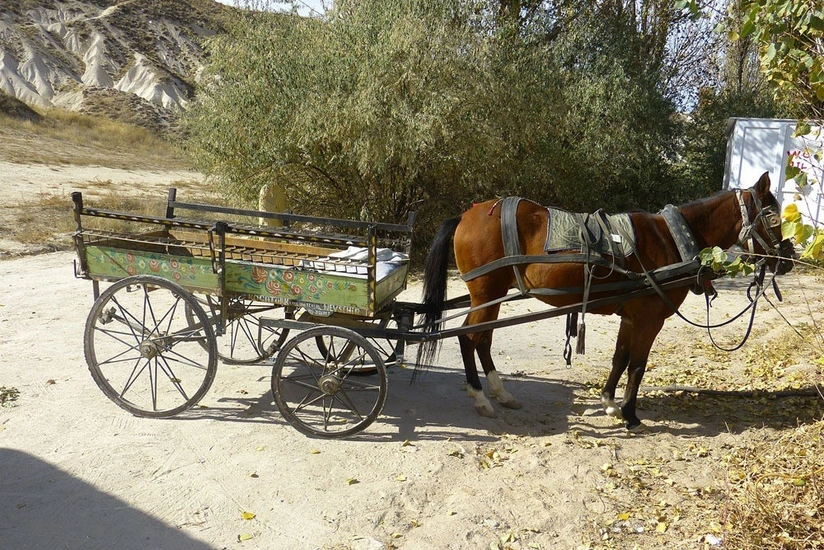 Ağdam sakini qonşusunu döyərək at arabası ilə üzərindən keçib - YENİLƏNİB