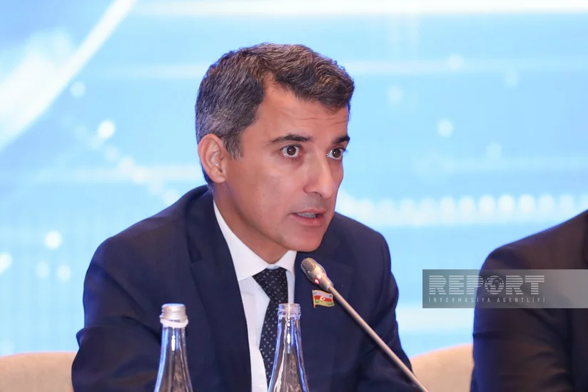 Фариз Исмаилзаде: Быстрое развитие технологий делает прогнозирование рисков в этой области невозможным