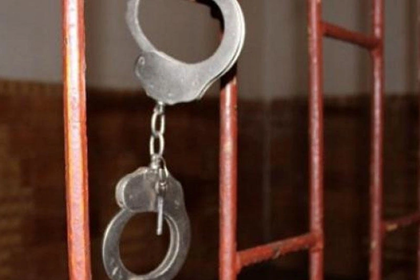 Tbilisidə 1 azərbaycanlını öldürən və 10-nu yaralayan sürücü azadlığa buraxılıb