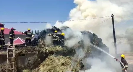 Şərurda həyətyanı sahədə yanğın olub