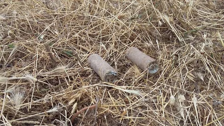 Cocuq Mərcanlıda 11 ədəd mina aşkarlanıb