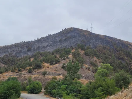 Deputy Minister: Fires committed by Armenians cause serious damage to regional ecosystem