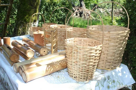 Çörəyi bambukdan çıxır - VİDEOREPORTAJ