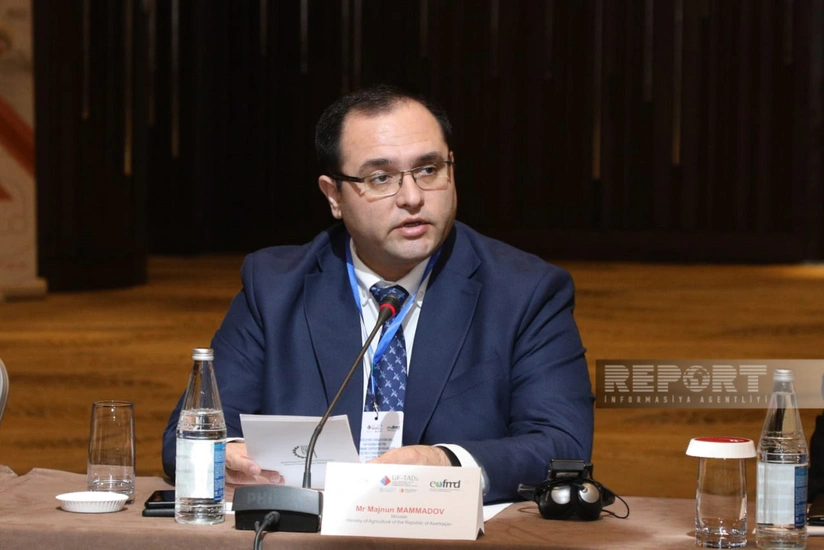 Minister says agriculture is priority area in diversification of Azerbaijan's economy