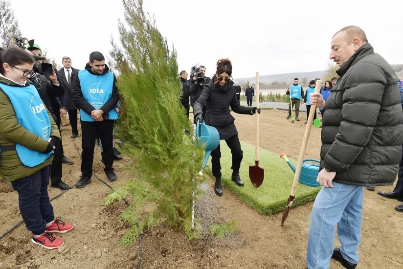 President Ilham Aliyev and first lady Mehriban Aliyeva attended tree-planting campaign in Shamakhi district