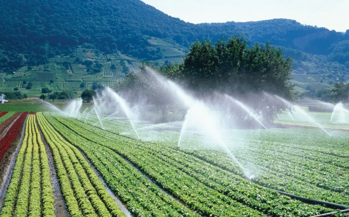 Azərbaycanda qənaətcil suvarma texnologiyasından istifadəyə başlanılıb