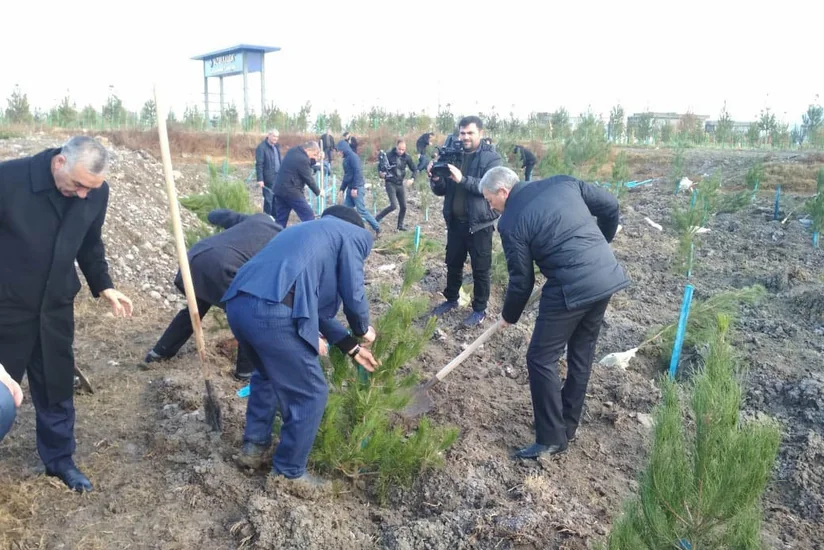 Bərdədə ağacəkmə aksiyası keçirilib - FOTO