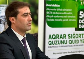 Naxçıvandakı fermerlərə dəymiş ziyanı Aqrar Sığorta Fondu ödəyəcək