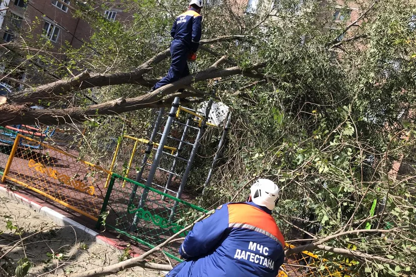 В Дагестане из-за шквалистого ветра энергетики перешли на особый режим работы