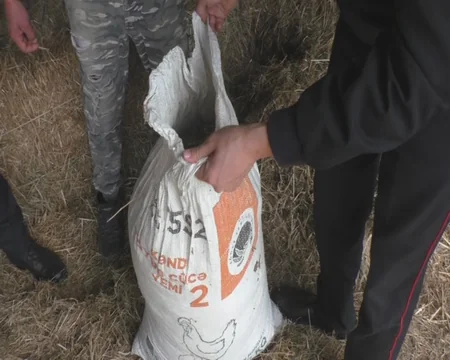Balakəndə üzərində “Kalaşnikov” gəzdirən, torpağın altında narkotik gizlədənlər ifşa ediliblər