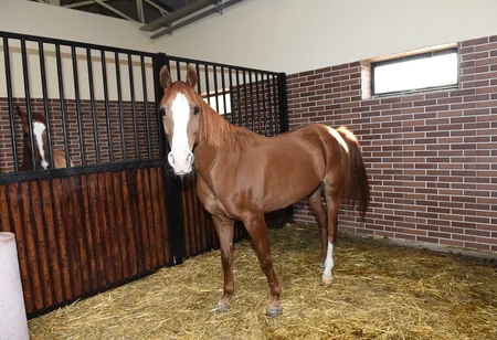 President Ilham Aliyev attends opening of Qarabag Equestrian Complex