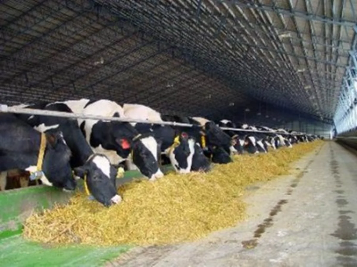 ​Azərbaycanda kənd təsərrüfatı heyvanlarının sığortası 168 dəfə artıb