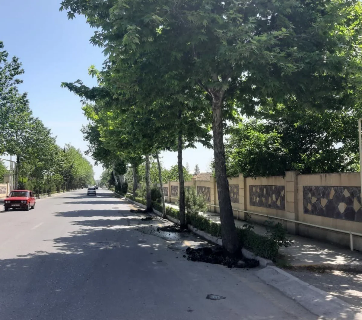 Azərbaycanda daha bir bələdiyyə sədri cəzalandırıldı