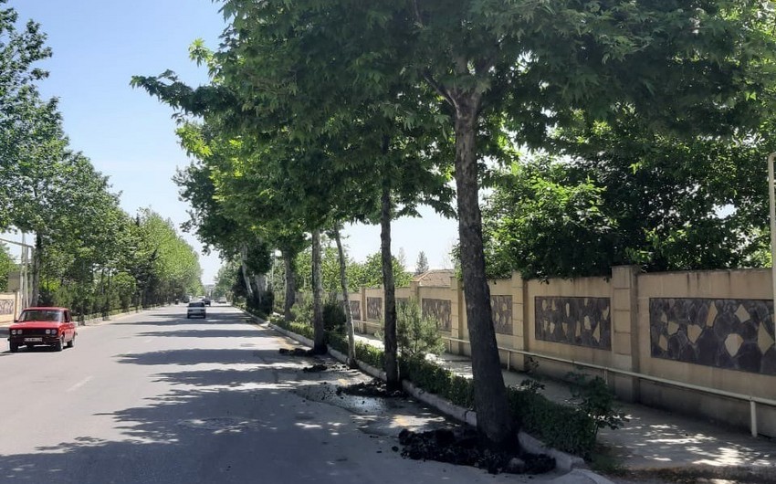 Azərbaycanda daha bir bələdiyyə sədri cəzalandırıldı