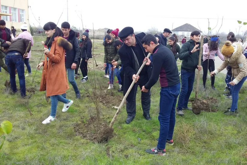 Ağstafada 4000 ağac əkilib