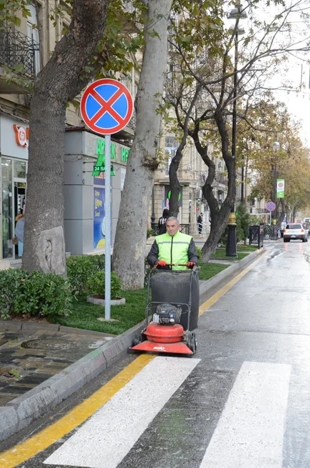 В Баку продезинфицировали 546 улиц