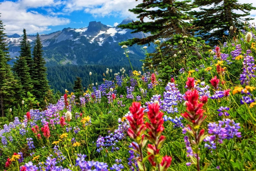 Weather forecast for tomorrow announced in Azerbaijan