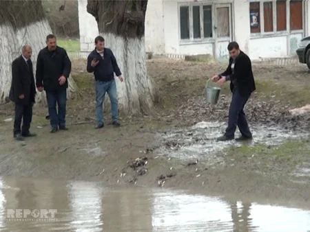 ​Salyanda Akkuşa çayına 30 mindən artıq balıq buraxılıb - FOTO