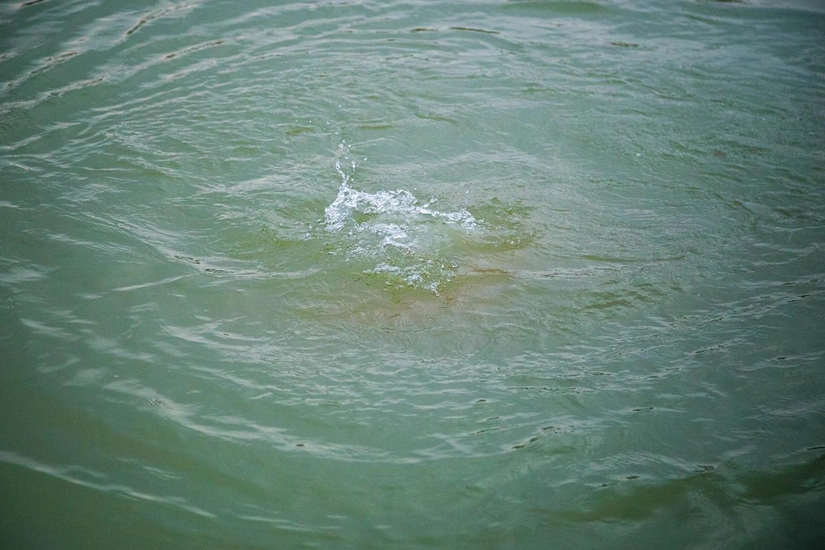 İmişlidə kanalda batan şəxsin meyiti tapılıb - YENİLƏNİB