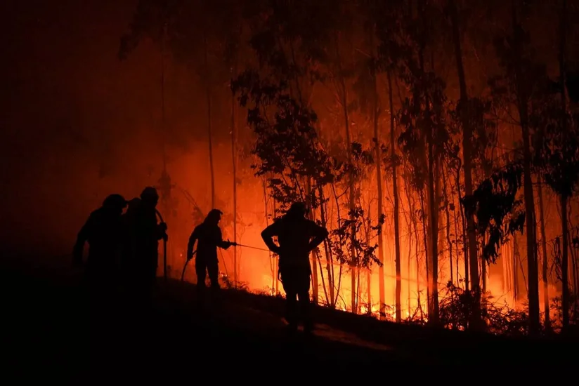 Из-за лесного пожара недалеко от Мадрида погиб один человек