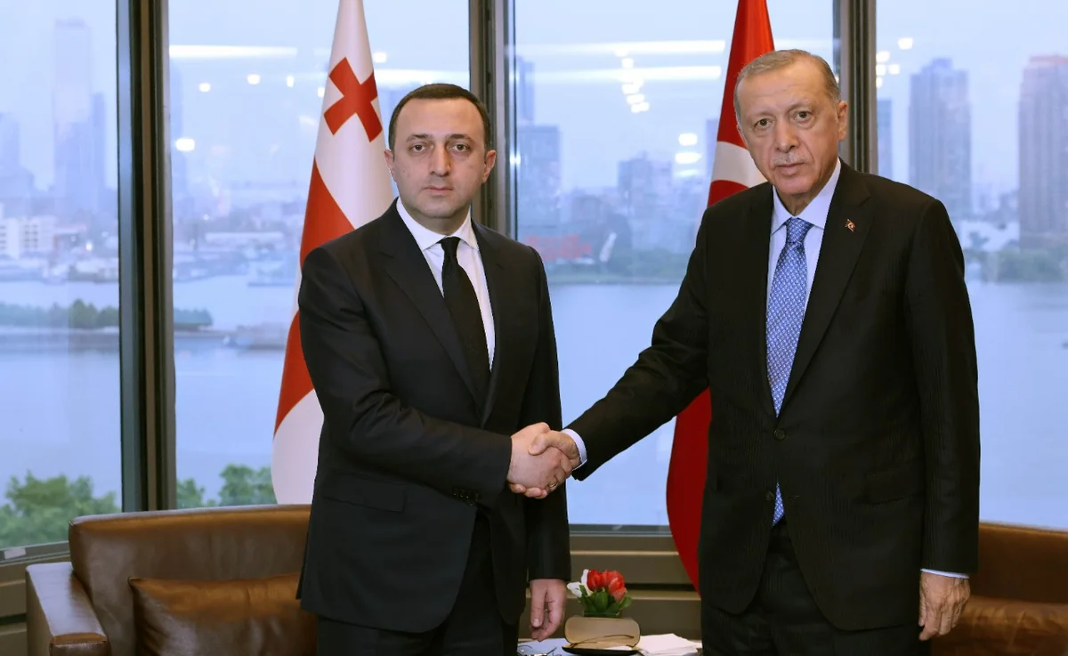 Turkish president, Georgian PM hold talks on sidelines of UN General Assembly
