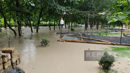 Qaxda leysan olub, çay daşıb, restoran və evlərin həyətlərini su basıb