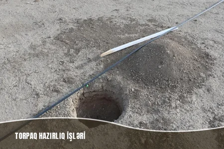 Müşfiqabadda son bir ayda 16 mindən artıq ağac əkilib