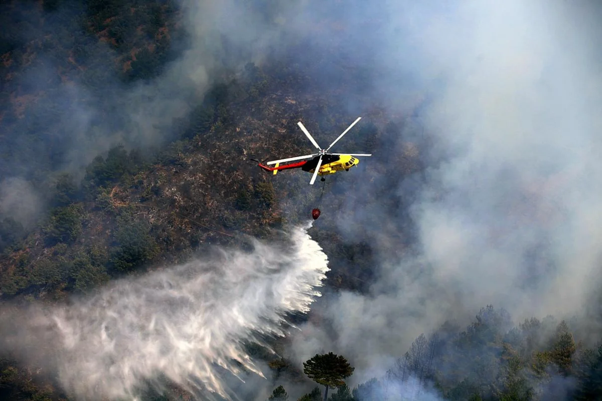 Siyəzəndə dağlıq ərazidəki yanğında iki nəfər ölüb, cinayət işi başlanılıb