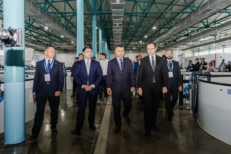 Azerbaijan Fish Farm released 100.000 Sturgeon and 20.000 Salmon into the Caspian Sea