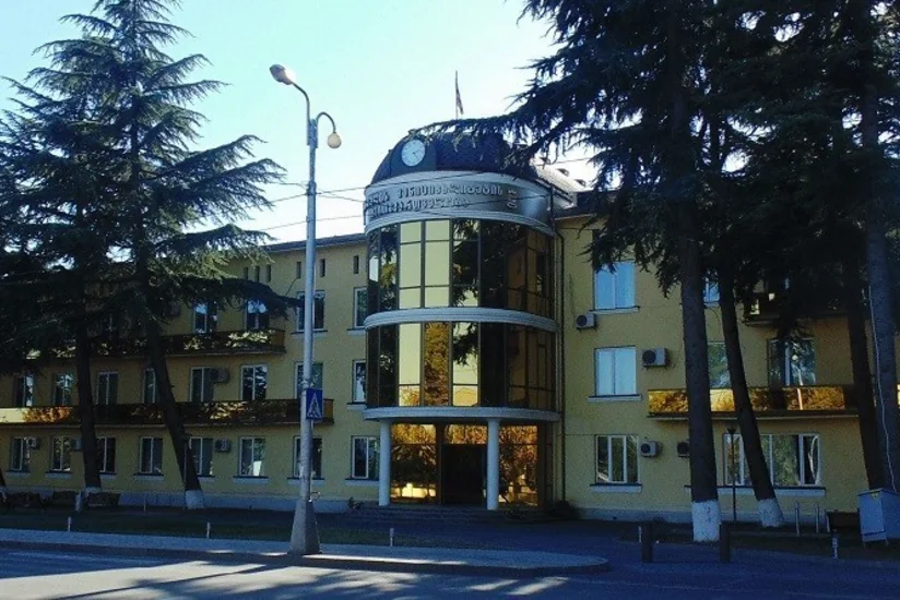 Marneulinin icra başçısı postu uğrunda 15 namizəd mübarizə aparacaq