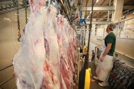 Qurban bayramı ilə bağlı vətəndaşlara çağırış edilib