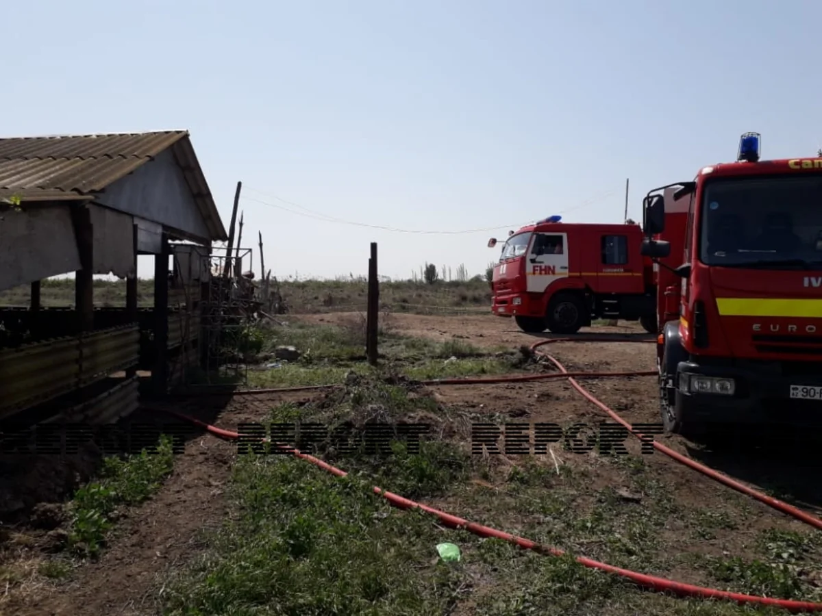 Kürdəmirdə yanğın hadisəsi baş verib