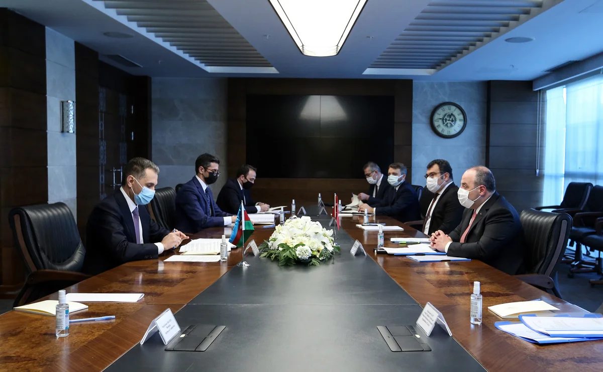 Rəşad Nəbiyev Türkiyədə görüşlər keçirib