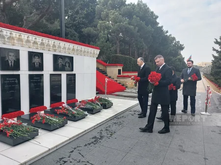 Ukrayna, Gürcüstan və Moldova səfirləri Şəhidlər xiyabanını ziyarət edib