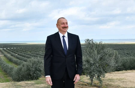 Prezident Zirədə zeytun emalı zavodunun açılışında iştirak edib - YENİLƏNİB