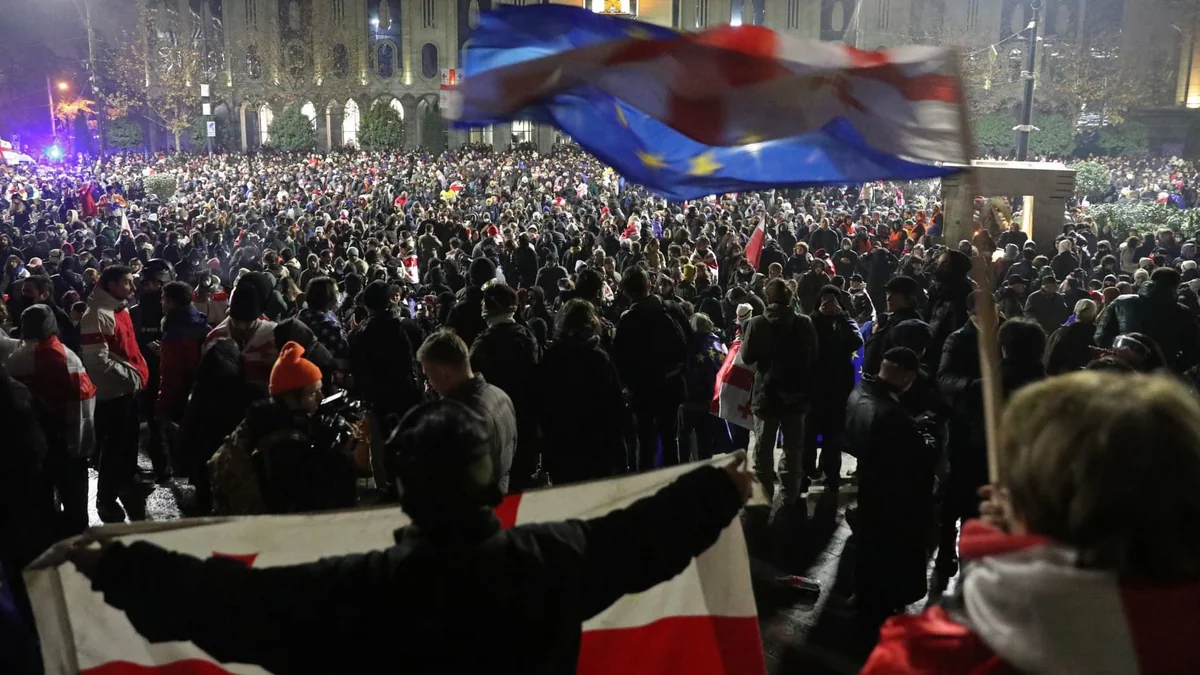 МВД Грузии задержал 24 человека в ходе акции протеста