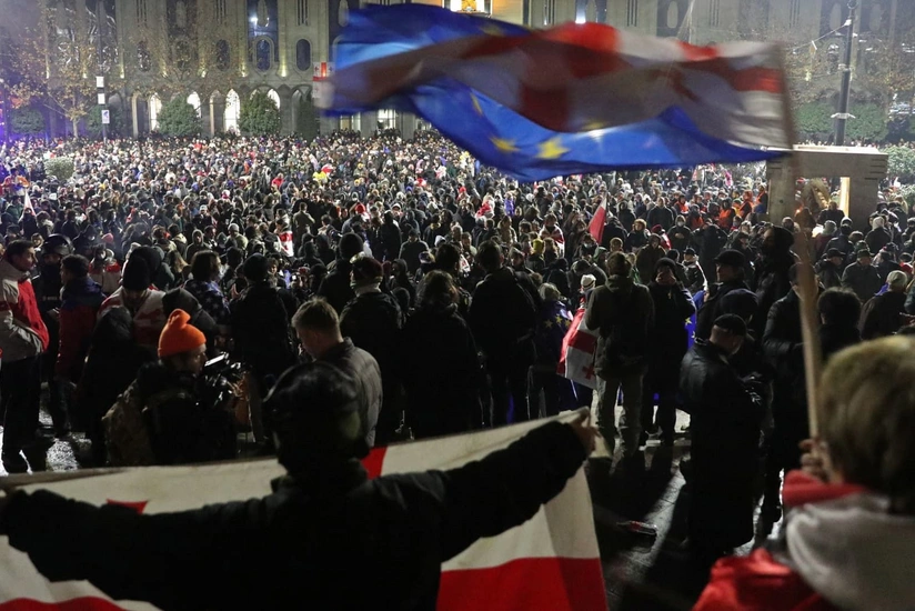 МВД Грузии задержал 24 человека в ходе акции протеста