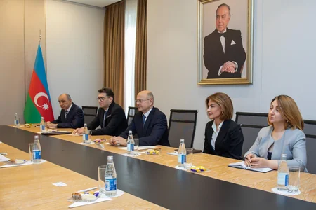 Азербайджан обсудил с ОЧЭС проекты возобновляемой энергетики