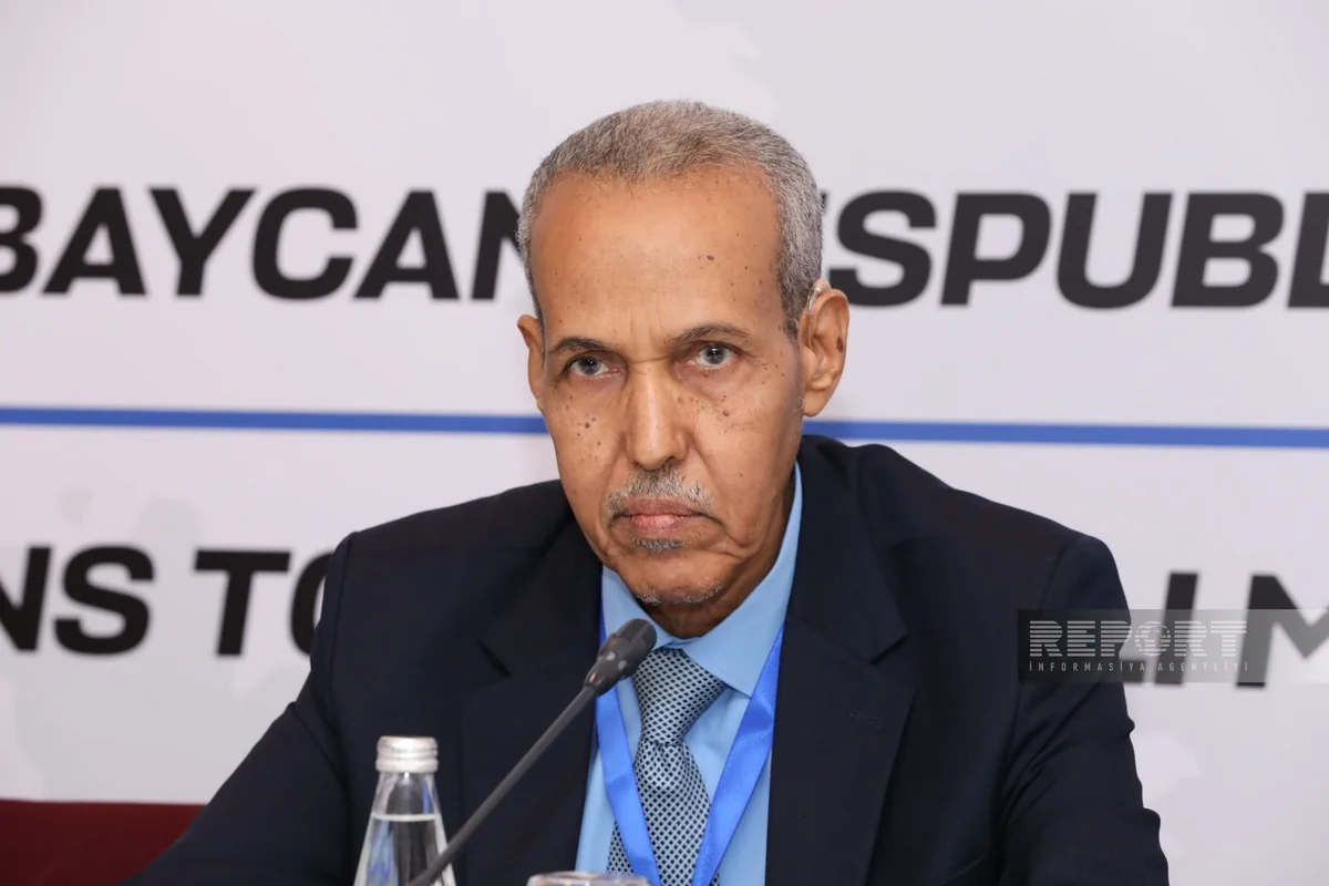 OIC official congratulates Azerbaijan on successful democratic elections