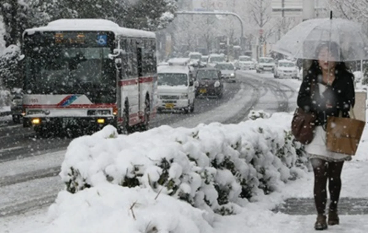 Snowfall causes 120 injuries in Japan
