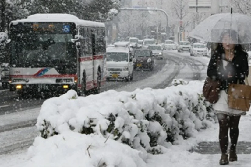 В Японии из-за снегопада пострадали 120 человек