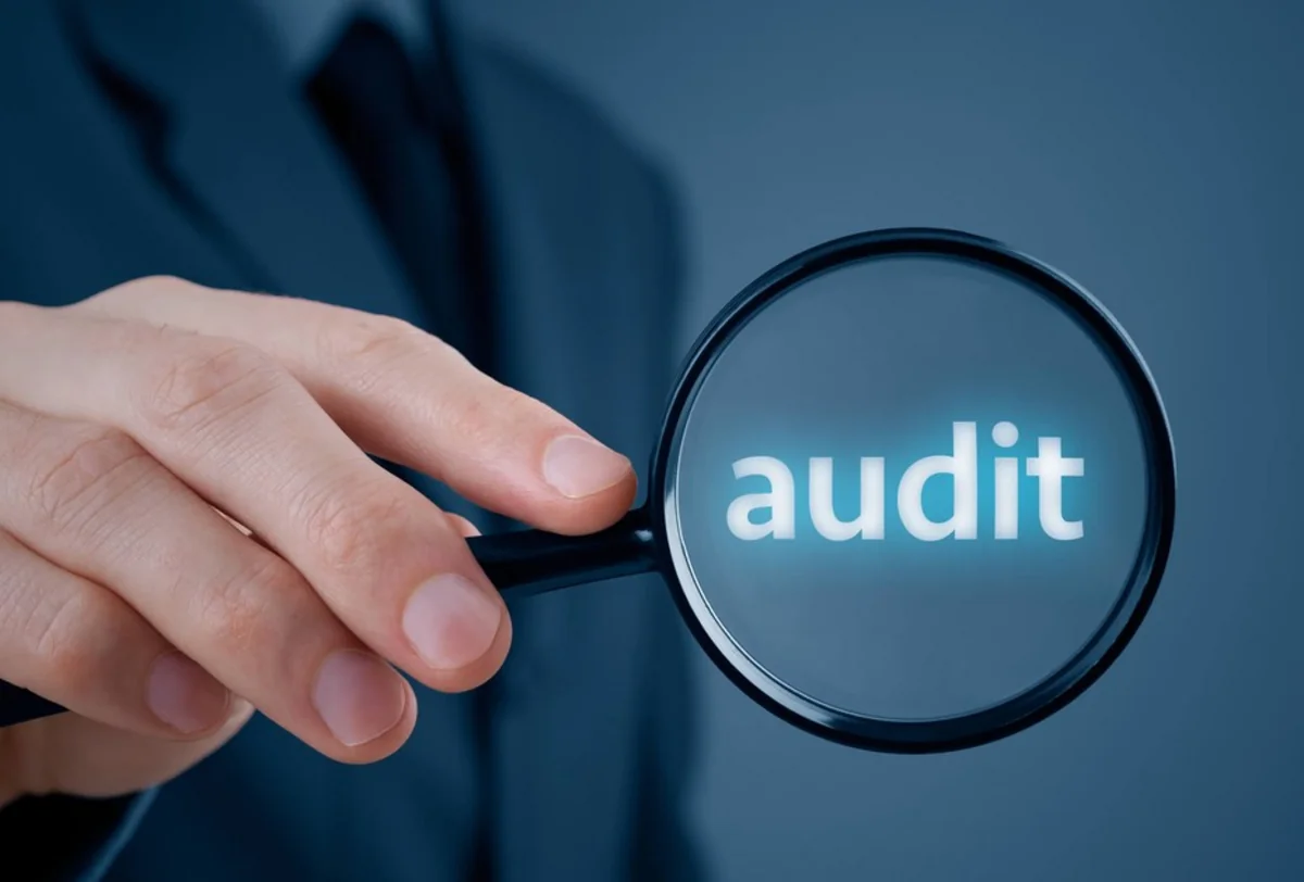 AMADA 2 illik auditor seçir